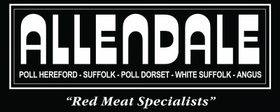 Allendale Studs - "Allendale"