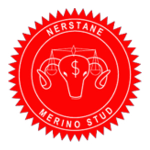 Nerstane Merino Stud