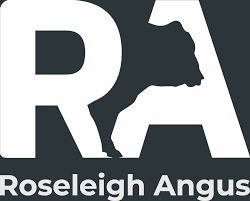 Roseleigh Angus