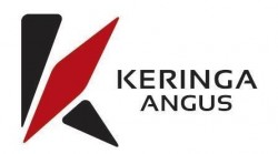Keringa Angus