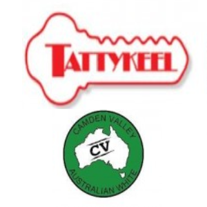 Tattykeel Southern NSW Australian White Sale