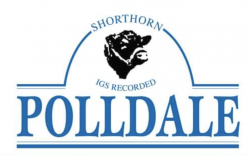 Polldale Selling Complex