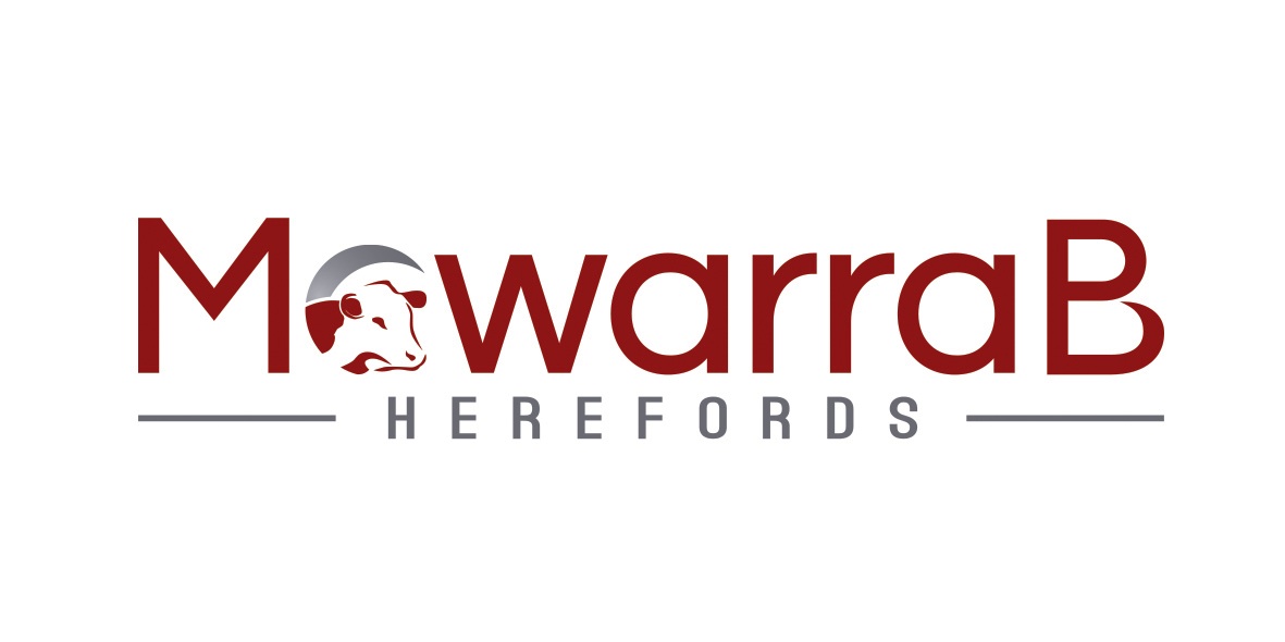 Mawarra B Herefords - Wodonga Exhibition Centre