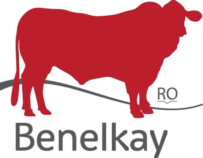 Benelkay Santa Gertrudis - “Glenmore”