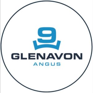 Glenavon Angus Stud “Outer Bald Blair”