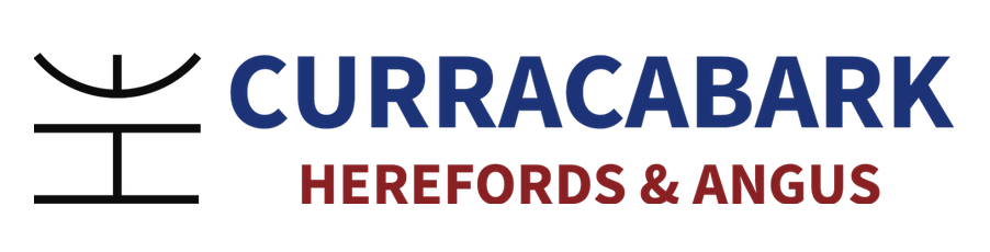 Curracabark Herefords and Angus - Myra