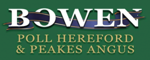 Bowen Poll Herefords & Angus – ‘Bowen’
