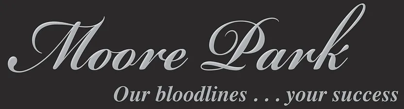 Moore Park Angus - On Property