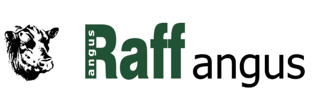 Raff Angus - ‘Mundibulanga’