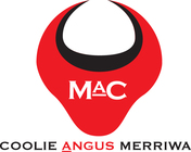 Coolie Angus - On Property