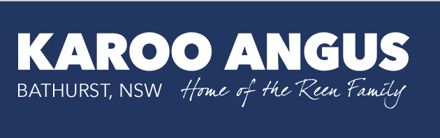 Karoo Angus