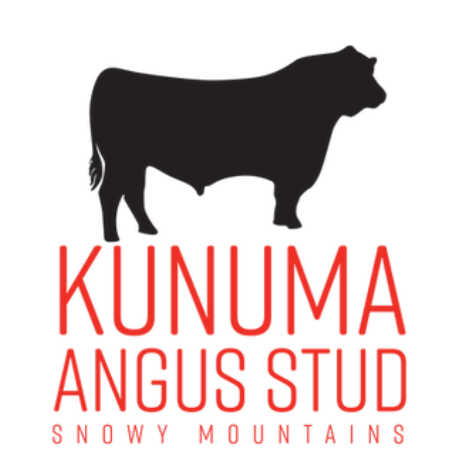 Kunuma Angus Stud