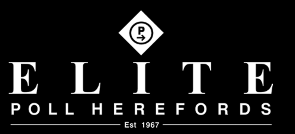 Elite Poll Herefords ‘Eulalia’