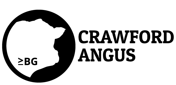 Crawford Angus - “Crawford”