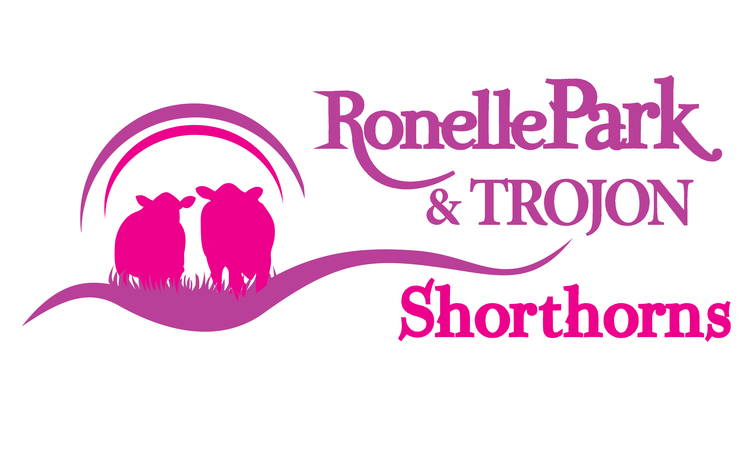 Ronelle Park & Trojon Shorthorns - Dubbo Showgrounds