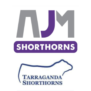 AJM & Tarraganda Shorthorns - Dubbo Showgrounds