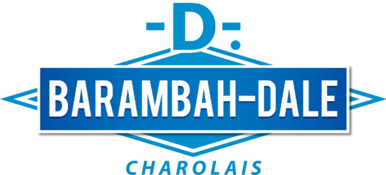 Barambah-Dale Charolais - WINGFIELD