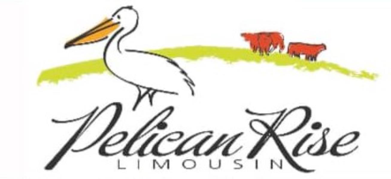 Pelican Rise Limousin