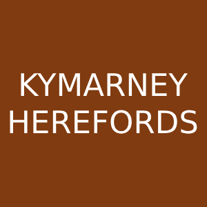 Kymarney Herefords - Herefords Wodonga National – Woodonga Exhibition Centre