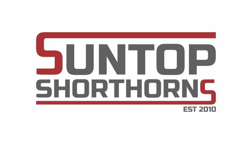 Suntop Shorthorns - Dubbo Showgrounds