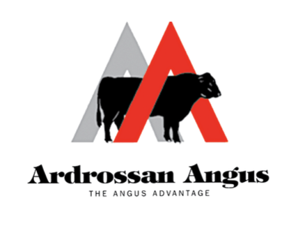 Ardrossan Angus - "Talmalmo"