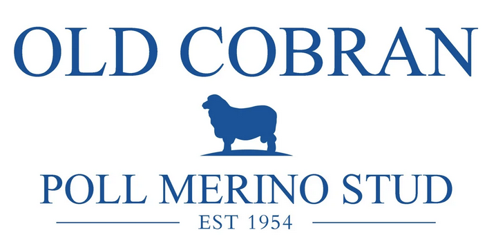 Old Cobran Poll Merino Stud - ‘Mullameah’