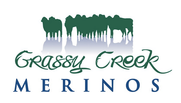 Grassy Creek Merinos "Dryburgh"